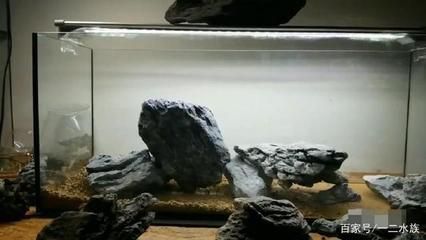 沁魚缸：亞克力魚缸與玻璃魚缸比較，沁魚缸自循環(huán)系統(tǒng)如何運(yùn)作 沁魚缸：亞克力魚缸與玻璃魚缸比較，沁魚缸自循環(huán)系統(tǒng)如何運(yùn)作 魚缸百科 第5張