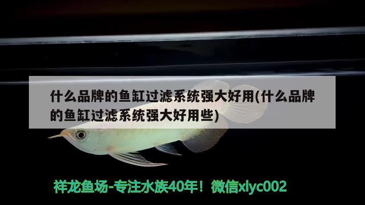 濟南市歷城區風行漁具店