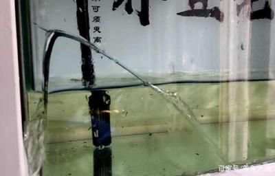 魚缸 修理：如何診斷和修復常見魚缸損壞 魚缸 修理：如何診斷和修復常見魚缸損壞 魚缸百科 第3張