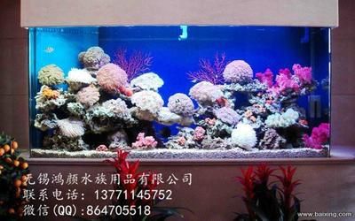 魚缸 修理：如何診斷和修復常見魚缸損壞 魚缸 修理：如何診斷和修復常見魚缸損壞 魚缸百科 第4張