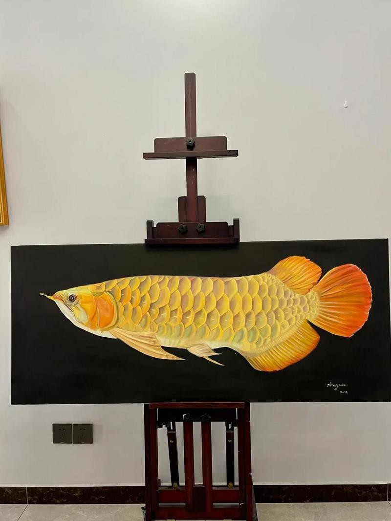 如何選擇適合我的龍魚壁紙？