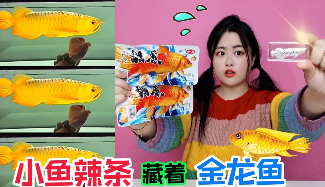 金龍魚吃不吃小魚：關于金龍魚吃不吃小魚的詳細解釋金龍魚吃小魚怎么辦