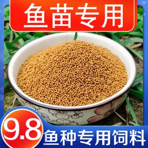 <strong><mark>河源</mark></strong>龍魚(yú)魚(yú)缸：<strong><mark>河源</mark></strong>龍魚(yú)魚(yú)缸，打造優(yōu)雅水族世界的藝術(shù)與科學(xué)