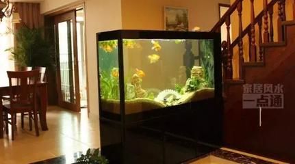 紅鯉魚魚缸的最佳擺放位置是什么？：紅鯉魚魚缸擺放在客廳擺放位置時(shí)需要考慮到風(fēng)水吉位 紅鯉魚魚缸的最佳擺放位置是什么？：紅鯉魚魚缸擺放在客廳擺放位置時(shí)需要考慮到風(fēng)水吉位 魚缸百科 第3張