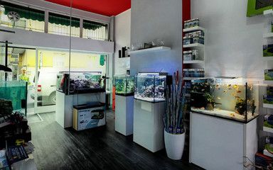 海拉爾養魚的常見誤區與正確方法養魚的常見誤區與正確方法：如何在海拉爾找到便宜實惠的魚缸