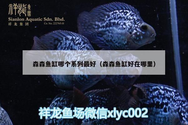 森森魚缸哪個型號的好(森森魚缸時尚系列款式豪華魚缸適合哪些場合) 龍魚百科 第4張 森森魚缸哪個型號的好(森森魚缸時尚系列款式豪華魚缸適合哪些場合) 森森魚缸哪個型號的好(森森魚缸時尚系列款式豪華魚缸適合哪些場合) 龍魚百科 第4張