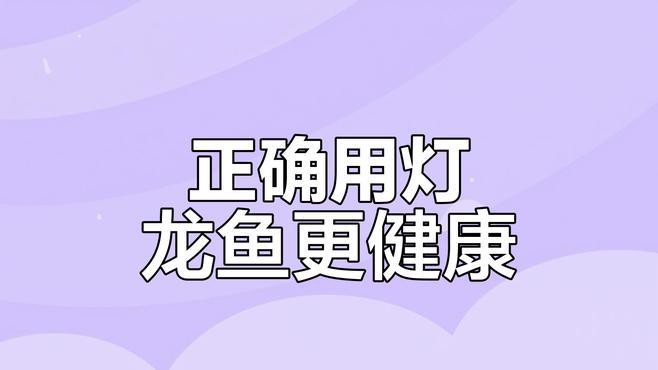 金龍魚用白燈好還是黃燈好