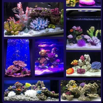 珊瑚魚缸造景圖片大全：珊瑚魚缸造景圖片大全珊瑚魚缸造景圖片大全