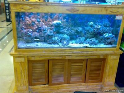 定做魚缸廠家（定做魚缸廠家定做魚缸） 定做魚缸廠家（定做魚缸廠家定做魚缸） 魚缸百科 第1張