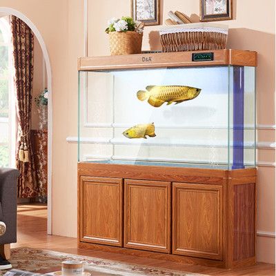 魚缸性價比高（選擇一款高性價比的魚缸） 魚缸性價比高（選擇一款高性價比的魚缸） 魚缸百科 第2張