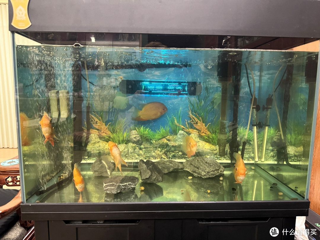 森森魚缸下過濾安裝圖：森森魚缸下過濾器的安裝方法
