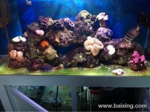 海水魚缸設(shè)備（海水魚缸養(yǎng)護(hù)技巧） 海水魚缸設(shè)備（海水魚缸養(yǎng)護(hù)技巧） 魚缸百科 第3張