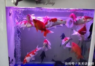 季節(jié)變化對(duì)魚缸水質(zhì)影響：季節(jié)變化對(duì)魚缸水質(zhì)的影響 季節(jié)變化對(duì)魚缸水質(zhì)影響：季節(jié)變化對(duì)魚缸水質(zhì)的影響 魚缸百科 第5張