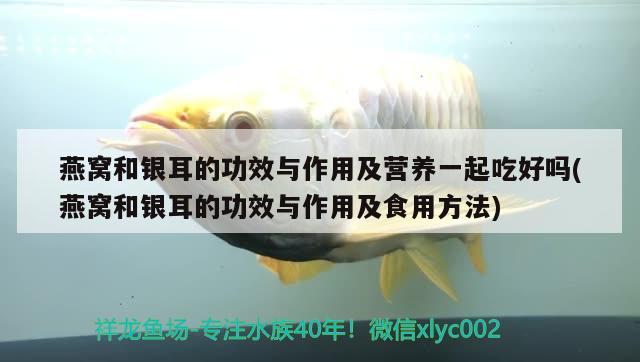 天津市寶坻區常青觀賞魚店