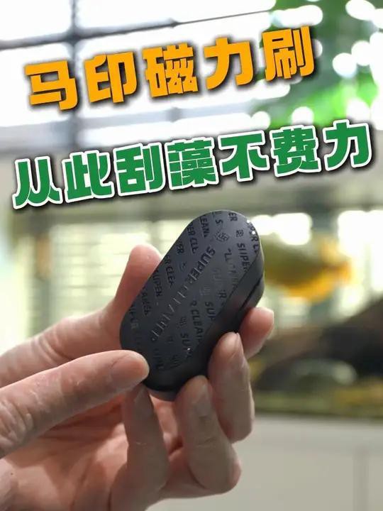 如何判斷龍魚缸是否徹底清潔？