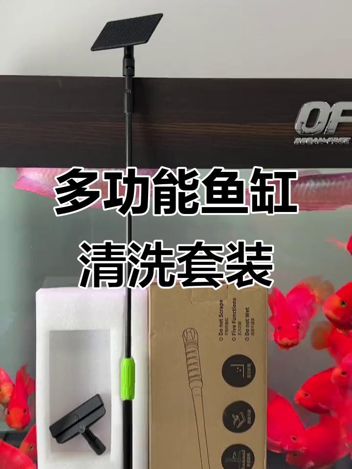 如何判斷龍魚缸是否徹底清潔？