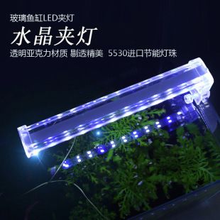 魚缸燈架有什么好處：魚缸燈架對魚類及水生生態(tài)系統(tǒng)的積極影響，魚缸燈架的好處