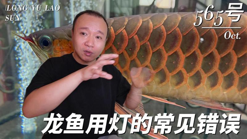 如何設置紅龍魚拍攝環境光？
