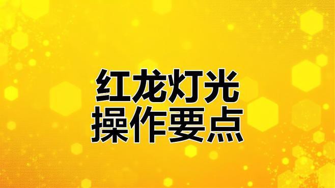 如何設置紅龍魚拍攝環境光？