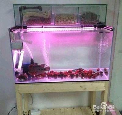 魚缸改上濾的步驟：底濾魚缸改造的藝術魚缸改造的藝術魚缸改造的步驟和方法