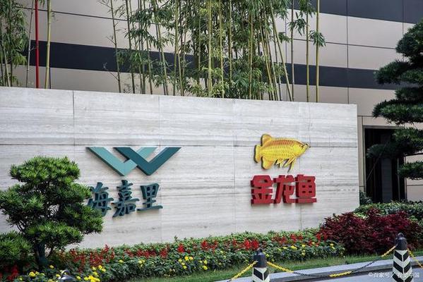 溫州市鹿城區(qū)南浦雅奇水族店（溫州市鹿城區(qū)南浦雅奇水族店地址） 溫州市鹿城區(qū)南浦雅奇水族店（溫州市鹿城區(qū)南浦雅奇水族店地址） 全國水族館企業(yè)名錄