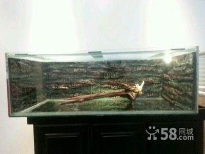 呼市賣魚缸的地方在哪里呀（呼和浩特幾個售賣魚缸的地方） 呼市賣魚缸的地方在哪里呀（呼和浩特幾個售賣魚缸的地方） 魚缸百科