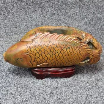 拍賣最貴的金龍魚（拍賣市場上最貴的金龍魚價格是多少？） 拍賣最貴的金龍魚（拍賣市場上最貴的金龍魚價格是多少？） 龍魚百科 第2張