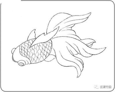 龍魚國(guó)畫步驟：國(guó)畫中的龍魚國(guó)畫步驟：龍魚國(guó)畫步驟：龍魚國(guó)畫步驟 龍魚國(guó)畫步驟：國(guó)畫中的龍魚國(guó)畫步驟：龍魚國(guó)畫步驟：龍魚國(guó)畫步驟 龍魚百科 第1張