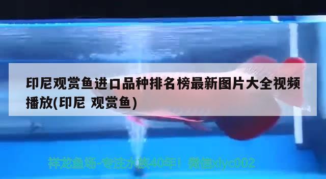 青島魚缸回收電話號碼查詢網址 青島魚缸回收電話號碼查詢網址 青島魚缸回收電話號碼查詢網址 青島魚缸回收電話號碼查詢網址 全國水族館企業名錄 第1張