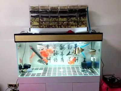 魚缸過濾器突然不上水了怎么辦？：當魚缸過濾器突然不上水時，需要檢查過濾器的電源和水源是否正常