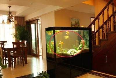 客廳魚缸怎么放比較好，客廳魚缸風水擺放技巧