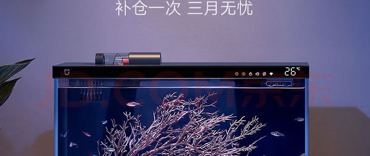 魚缸水質(zhì)檢測(cè)頻率建議：如何判斷魚缸水質(zhì)穩(wěn)定，魚缸循環(huán)過濾系統(tǒng)維護(hù)要點(diǎn)