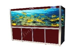 亮彩魚缸：亮彩水族用戶評價匯總