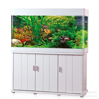 亮彩魚缸：亮彩水族用戶評價匯總