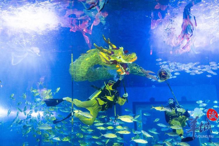 <strong><mark>珠海</mark></strong>水族館 龍魚世家水族館最佳