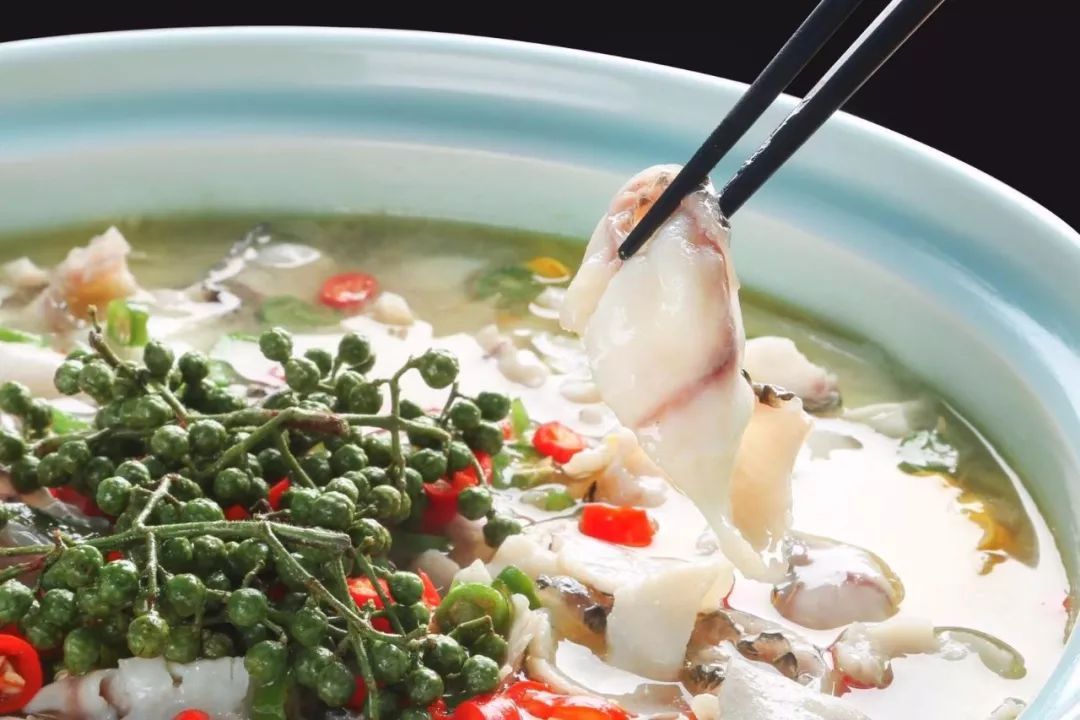 黑魚的養殖技術：黑魚在魚缸中的最大生長潛力