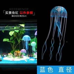 水母魚缸能活多久：水母魚缸能活多久水母魚缸飼養(yǎng)技巧有哪些