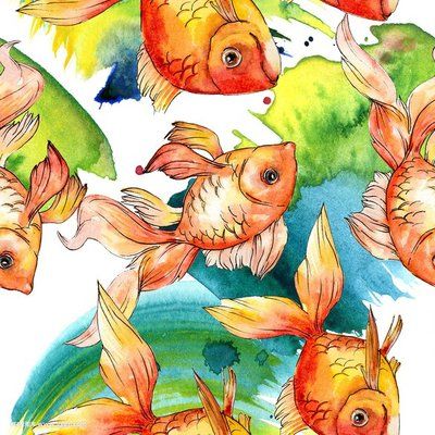 金龍魚水粉畫：金龍魚水粉畫教程