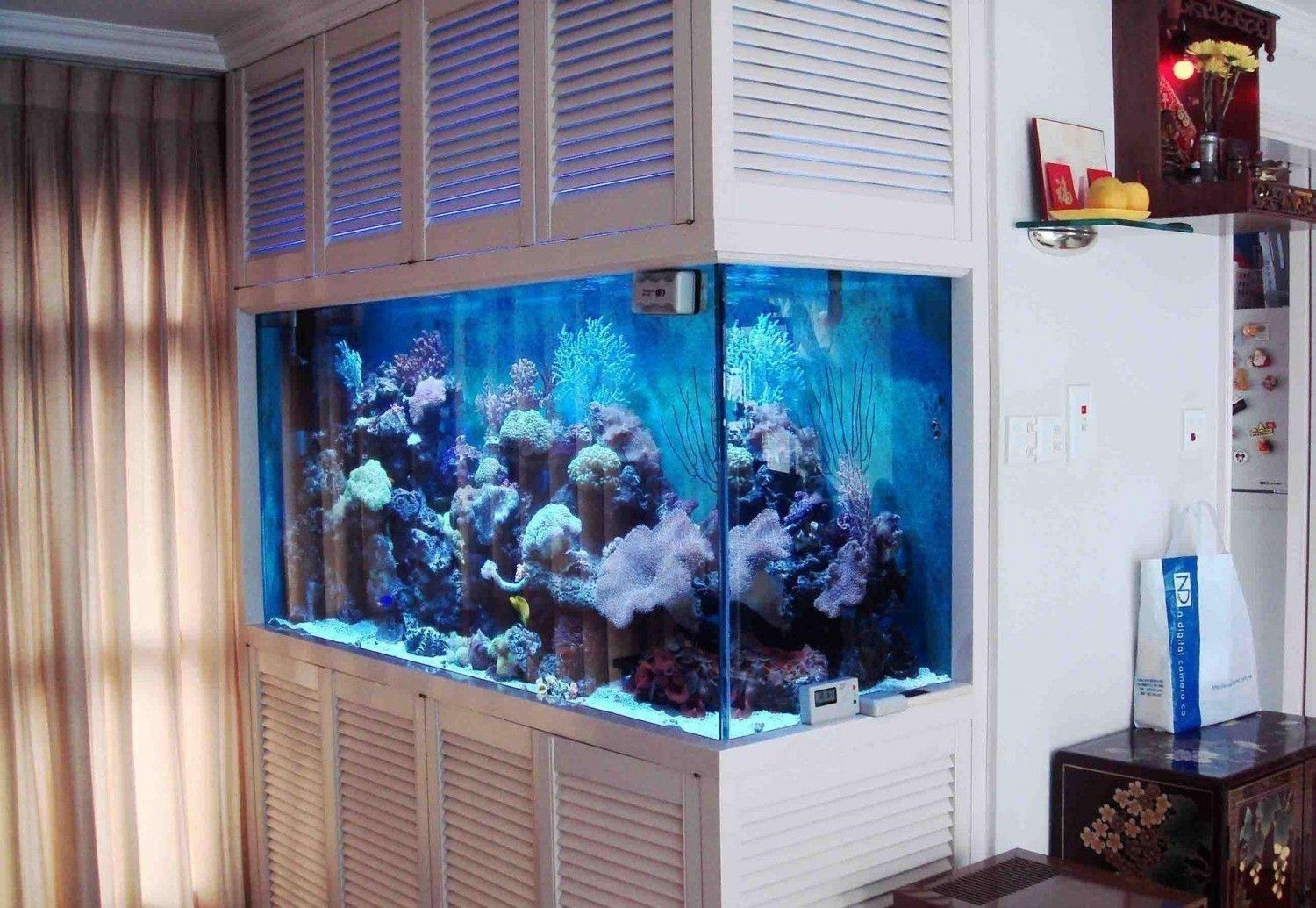 海水魚缸與淡水魚缸的區別：如何選擇合適的魚缸設備