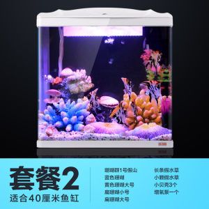 海水魚缸與淡水魚缸的區別：如何選擇合適的魚缸設備