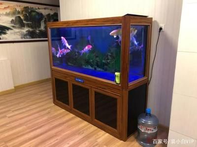 魚缸的擺放位置對家居風(fēng)水有什么影響？：風(fēng)水魚缸的擺放位置