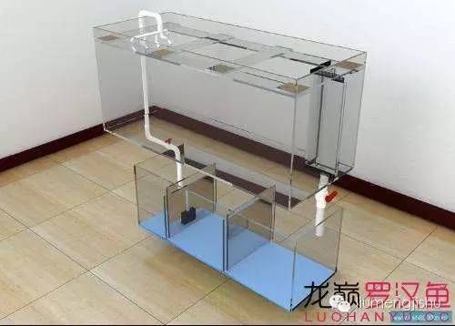 魚缸水循環的基本原理和操作方法：底濾魚缸水循環的基本原理 魚缸水循環的基本原理和操作方法：底濾魚缸水循環的基本原理 魚缸百科 第1張