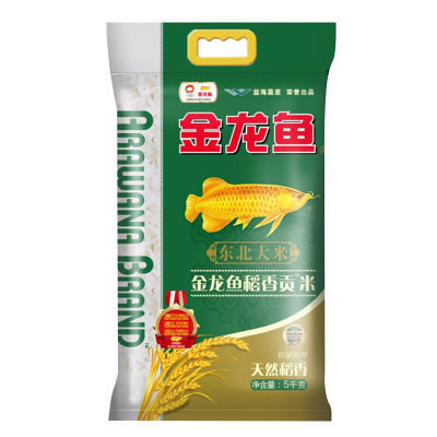 魚缸里水多長時間換一次（如何判斷魚缸水質好壞）
