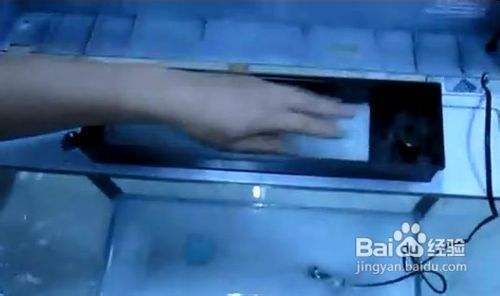 魚缸泵怎么拆開圖解:“魚缸泵怎么拆開圖解詳情”魚缸泵文字版拆卸步驟 魚缸百科 第4張 魚缸泵怎么拆開圖解:“魚缸泵怎么拆開圖解詳情”魚缸泵文字版拆卸步驟 魚缸泵怎么拆開圖解:“魚缸泵怎么拆開圖解詳情”魚缸泵文字版拆卸步驟 魚缸百科 第4張