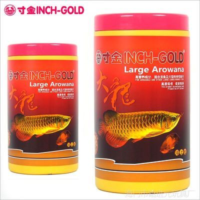 金色龍魚喂什么飼料長得快又好養：金色龍魚喂什么飼料長得快又好養金色龍魚喂什么飼料長得快又好養 金色龍魚喂什么飼料長得快又好養：金色龍魚喂什么飼料長得快又好養金色龍魚喂什么飼料長得快又好養 龍魚百科 第1張