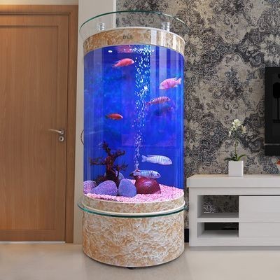 魚缸水質監測頻率建議：關于魚缸水質檢測的建議