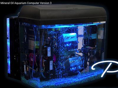 夢核電子魚缸多少錢：夢核電子魚缸價格