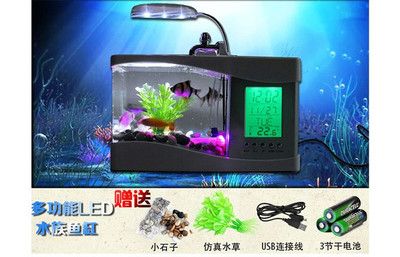 夢核電子魚缸多少錢：夢核電子魚缸價格
