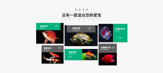龍魚商城網站官網入口，龍魚商城網站