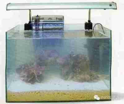 水母魚缸用什么好：水母魚缸如何選擇 水母魚缸用什么好：水母魚缸如何選擇 魚缸百科 第3張